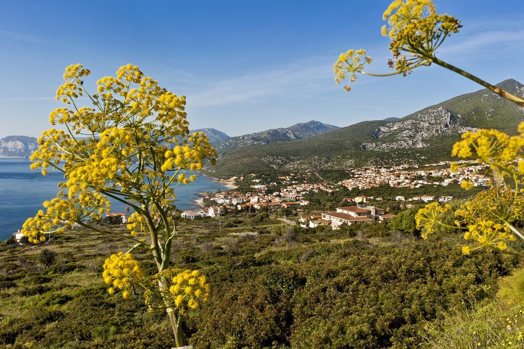 Brancamaria 4* Cala Gonone